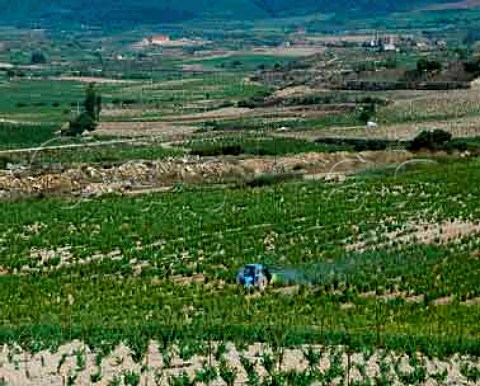 Spraying in vineyards of Herederos del Marqus de   Riscal near Elciego Alava Spain  Rioja Alavesa