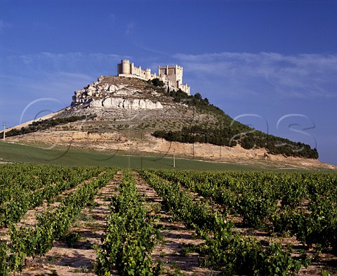 The castle of Peafiel high on a rock above the surrounding vineyards Valladolid province Spain Ribera del Duero