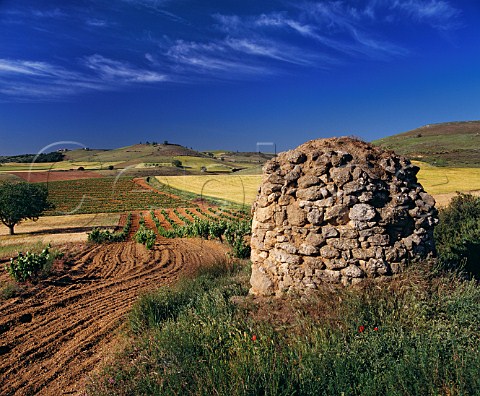 Traditional stone refuge guardavias by vineyard at Pedrosa de Duero Burgos Province Spain Ribera del Duero