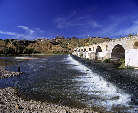 The ancient wine town of Toro high above its Roman Bridge over the Rio Duero   Castilla y Len Spain