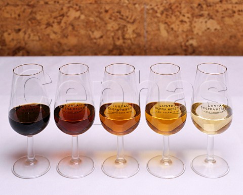 Five different sherries from Emilio Lustau ranging from the very dry Fino through an Amontillado Fino   Almacenista Dry Amontillado and an Oloroso to a very   sweet Pedro Ximenez  Jerez Spain