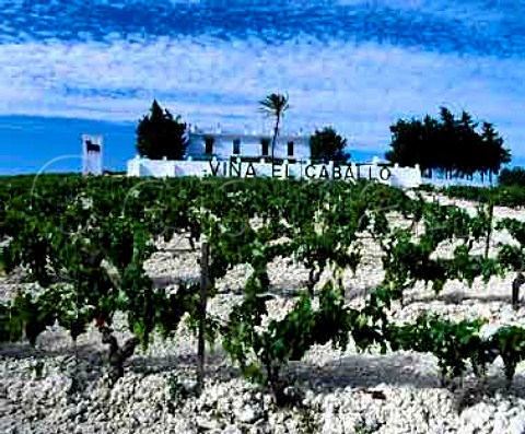 The albariza soil almost pure chalk of Osbornes  Via el Caballo west of Jerez de la Frontera Spain Sherry