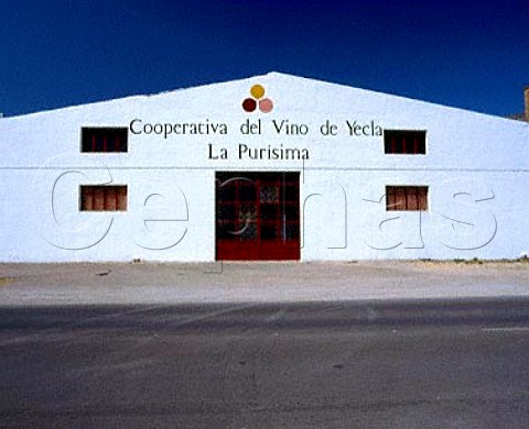 Cooperativa La Purisima has about 1300 members who   cultivate around 7000 ha of vineyards  Yecla Murcia   Province Spain   DO Yecla