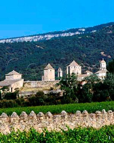Monastery of Poblet  founded in 1151 Thevineyards part of 115ha known as Las Murallas areowned by Miguel Torres and are planted with GarnachaParellada and MourvedrePoblet Catalonia Spain   DO Conca de Barbera