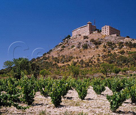 Vineyard below the Monasterio del Pueyo near  Barbastro Aragn Spain DO Somontano