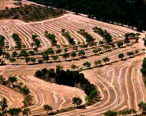 View of farmland from the Monasterio del Pueyo   Aragon Spain DO Somontano