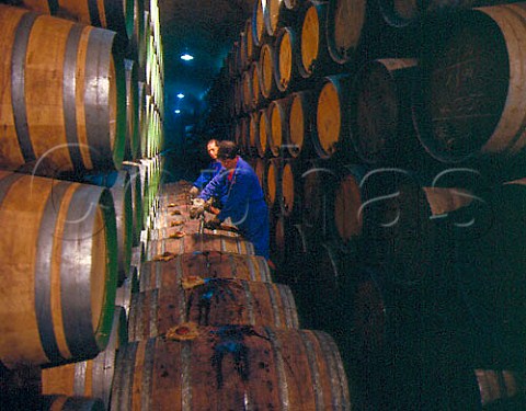 Filling barrels racking in cellars of Herederos   del Marqus de Riscal   Elciego Alava Spain  Rioja Alavesa
