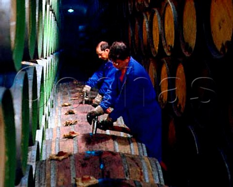 Filling barrels racking in cellars of Herederos   del Marqus de Riscal Elciego Alava Spain  Rioja Alavesa