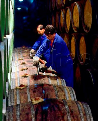 Filling barrels racking in cellars of Herederos   del Marqus de Riscal   Elciego Alava Spain Rioja Alavesa