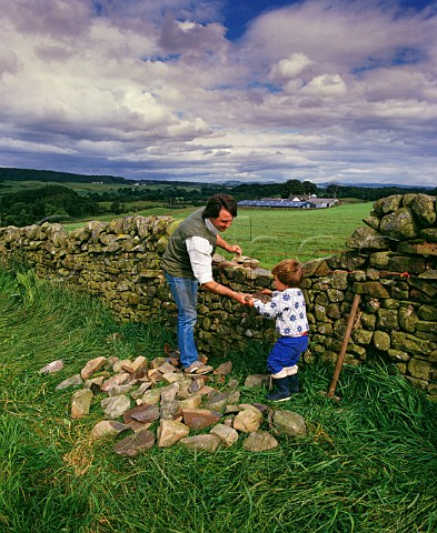 Young boy helping his father repair a drystone wall Auldgirth near Dumfries Dumfries and Galloway Scotland 