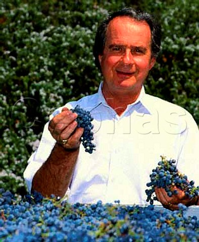Warren Winiarski with Cabernet Sauvignon grapes   Stags Leap Wine Cellars Yountville Napa Co   California Stags Leap AVA