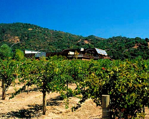 McDowell Vineyards Mendocino Co California   McDowell Valley AVA