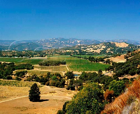 McDowell Vineyards Mendocino Co California   McDowell valley AVA