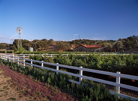 Zaca Mesa winery Santa Ynez Valley Santa Barbara   Co California