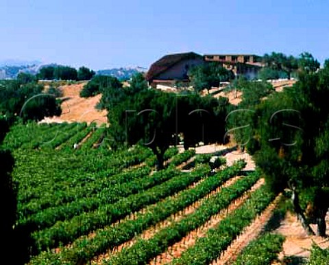 Firestone Cabernet Sauvignon vineyards and winery   building Santa Ynez valley Santa Barbara   CoCalifornia