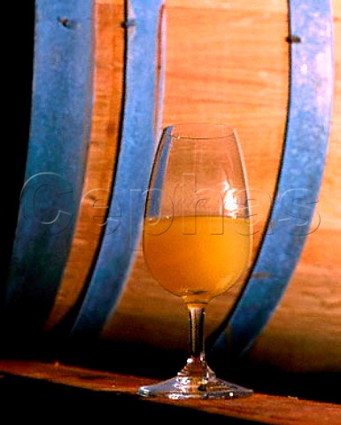 New Chardonnay wine of Sierra Vista vineyard in the Sierra Foothills Pleasant Valley El Dorado Co California