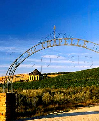 Entrance to Ste Chapelle winery and Riesling vineyard Caldwell Idaho