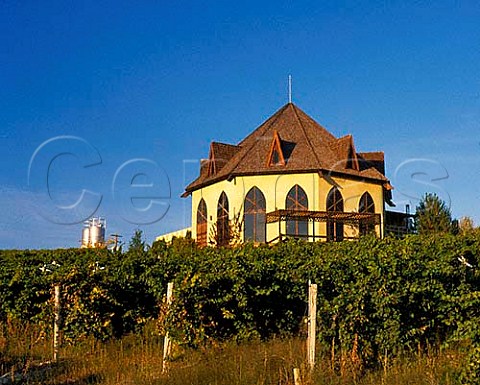 Sainte Chapelle winery and Riesling vineyard Caldwell Idaho USA  Snake River Valley