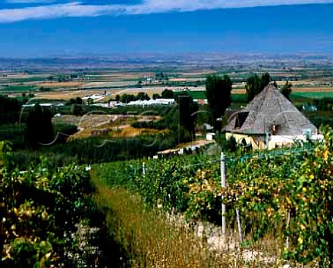 Ste Chapelle winery and Riesling   vineyard overlooking the Snake River Valley Caldwell Idaho