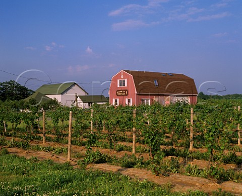 Peconic Bay winery and vineyard Cutchogue Long Island New York USA   North Fork AVA