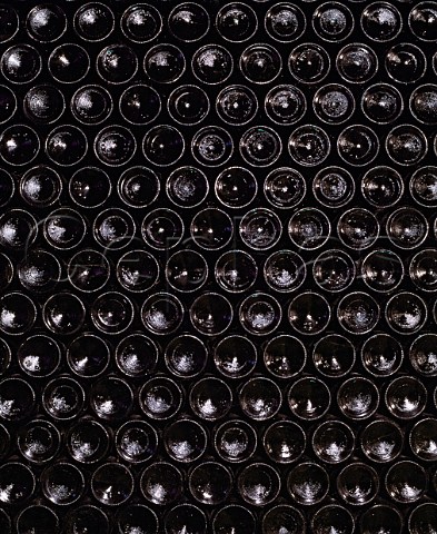Bottles of sparkling wine stored sur lattes in the   cellars of Benmarl Wine Company Marlboro   New York USA    Hudson River