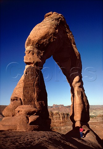 Delicate Arch Arches National Park   Utah