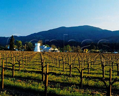 Vineyard and water tower of Ray Rossi Ranch St Helena  Napa Valley California