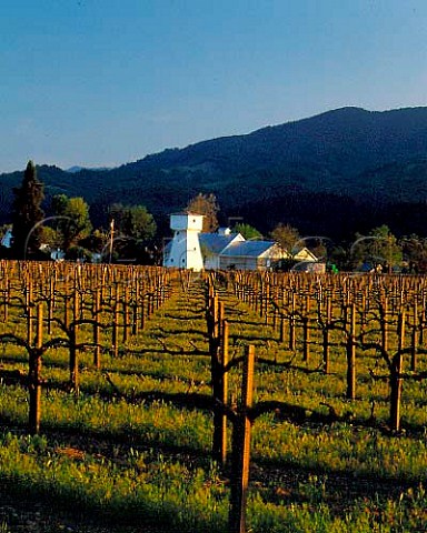 Ray Rossi Vineyard and water tower viewed from Route 128   StHelena Napa Co California
