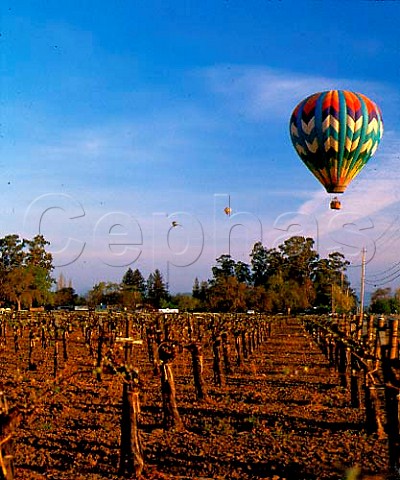 Hot air balloons over vineyards of Napa Valley along Route 128 California
