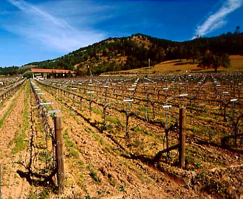 Vineyards and winery of ZD Wines on the Silverado   Trail Napa Co California