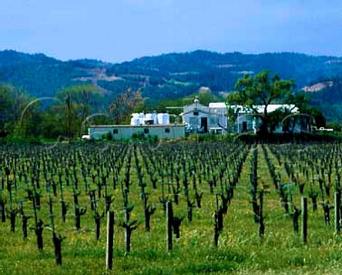 Napa Creek Winery Silverado Trail Napa Co   California