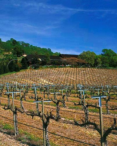 Springtime at Joseph Phelps Vineyards and Winery   St Helena Napa Valley California