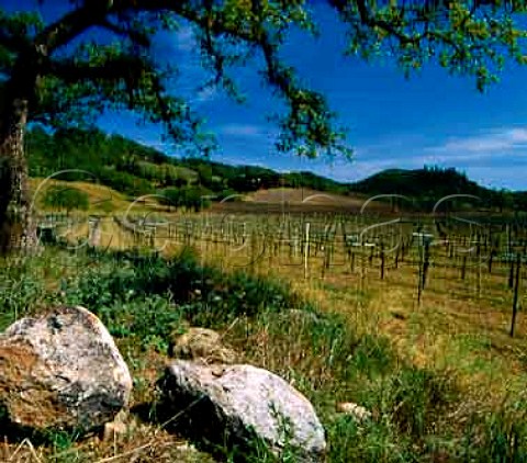 Springtime at Joseph Phelps Vineyards and Winery  East of Silverado Trail at St Helena Napa Valley  California