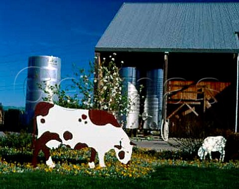 Cow and sheep by the Saintsbury winery   Napa California Carneros
