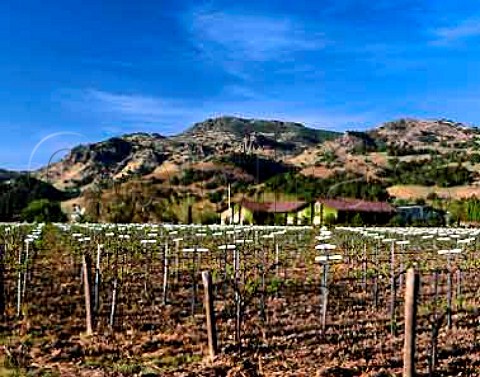 Clos du Val vineyard and winery Silverado Trail   Napa California