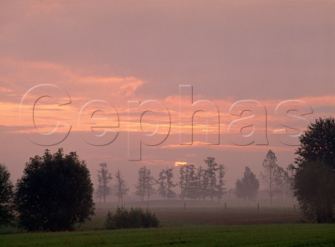 Misty sunrise near Brugge  Belgium