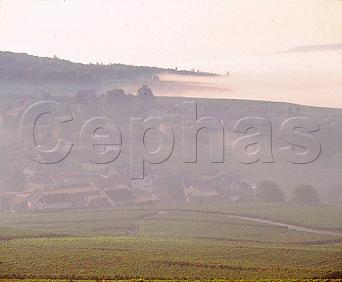 Morning mist over Ay and the Marne Valley Marne   France   Champagne