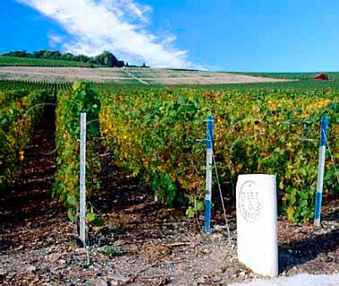 Moet et Chandon marker stone in the vineyards below   Hautvillers Marne France    Champagne