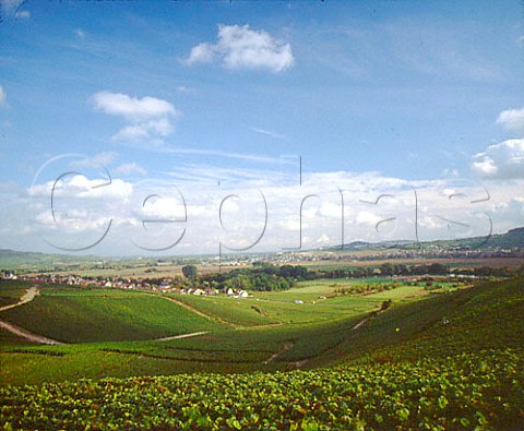 Vineyards above the Marne Valley and the village of   Cumieres Marne France    Champagne