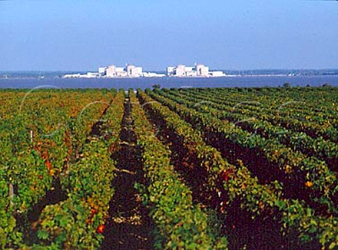 Vineyards of Chteau Meyney and EDF Centrale   Nucleaire du Blayais across the Gironde Estuary   StEstphe Gironde France  Mdoc  Bordeaux