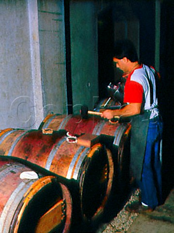 Topping up a barrel after racking Chateau Lagrange   StJulien