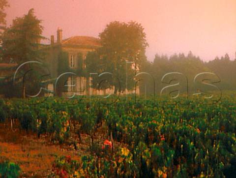 Morning mist at Chteau Dutruch GrandPoujeaux    MoulisenMdoc Gironde France     Mdoc Cru Bourgeois Suprieur