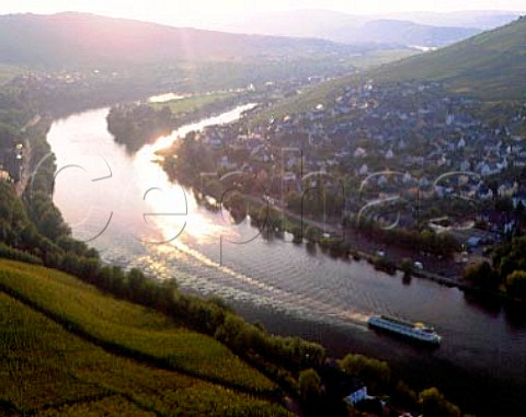 Germany  Mosel Valley Evening sun on Schlossberg   vineyard just south of BernkastelKues