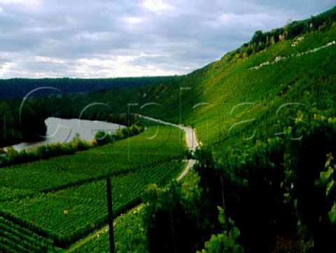 Vineyards at Hessigheim in the Neckar Valley Wurttemberg Germany    