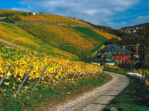 The Staatsweingut in the Hollenberg vineyard at   Assmannshausen Germany     Rheingau
