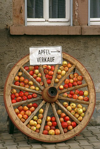 Apples for sale Heppenheim Rheinhessen Germany