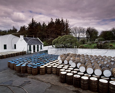 Oak barrels in the yard at Laphroaig Distillery   Isle of Islay Scotland
