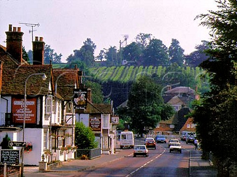 Lamberhurst village and vineyards Kent England