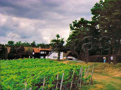Barnsgate Manor vineyard near Crowborough East   Sussex England