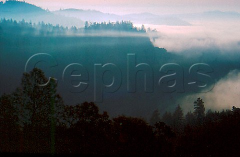 View of mountains from Howell Valley   Road as early morning fog gives way to   sunshine  StHelena Napa Valley   California